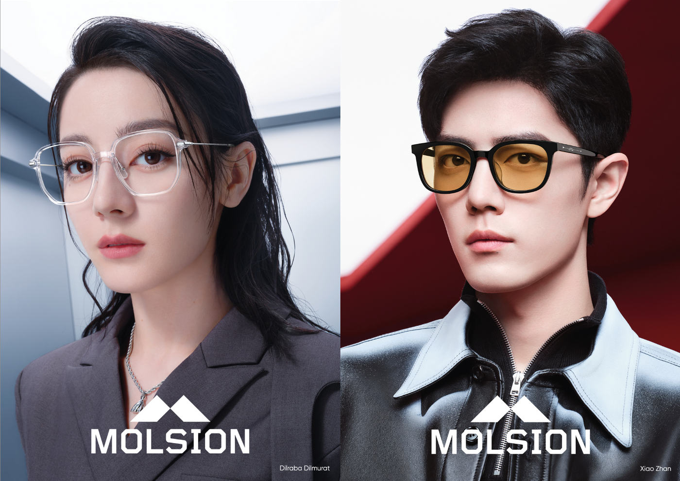 MOLSION – Des Optics Group