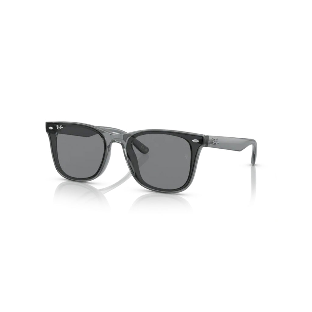 RAYBAN RB4391D – Des Optics Group
